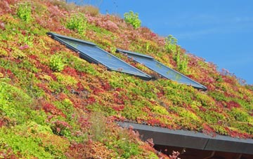Well Street living roof systems